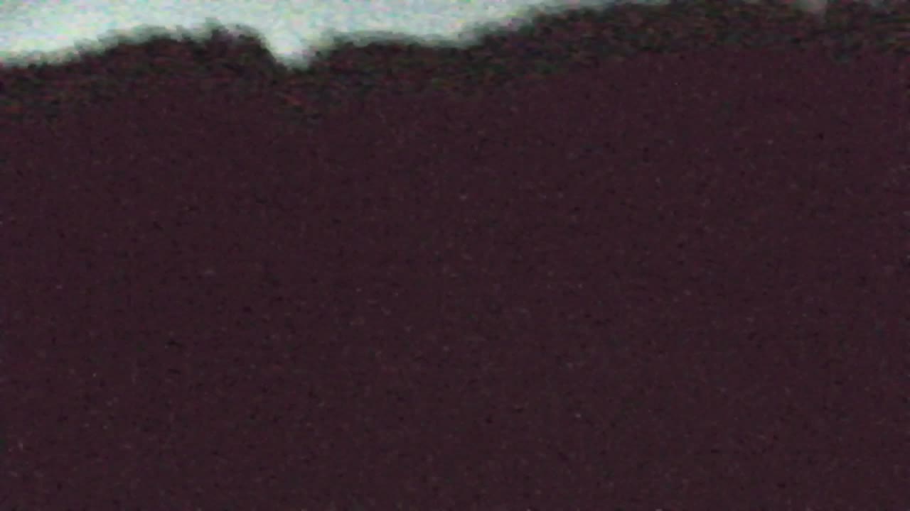 Webcam Lokve – The beauty of the Trnovo forest
