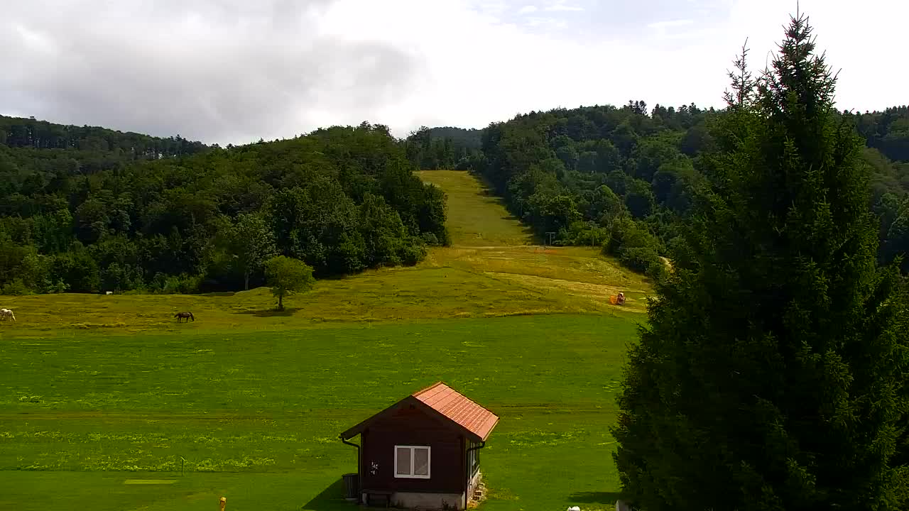 Webcam Lokve – Die Schönheit des Trnovo-Waldes