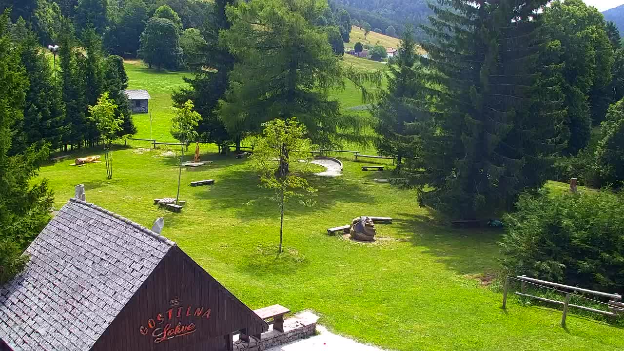 Webcam Loqua / Lokve – La bellezza della selva di Tarnova