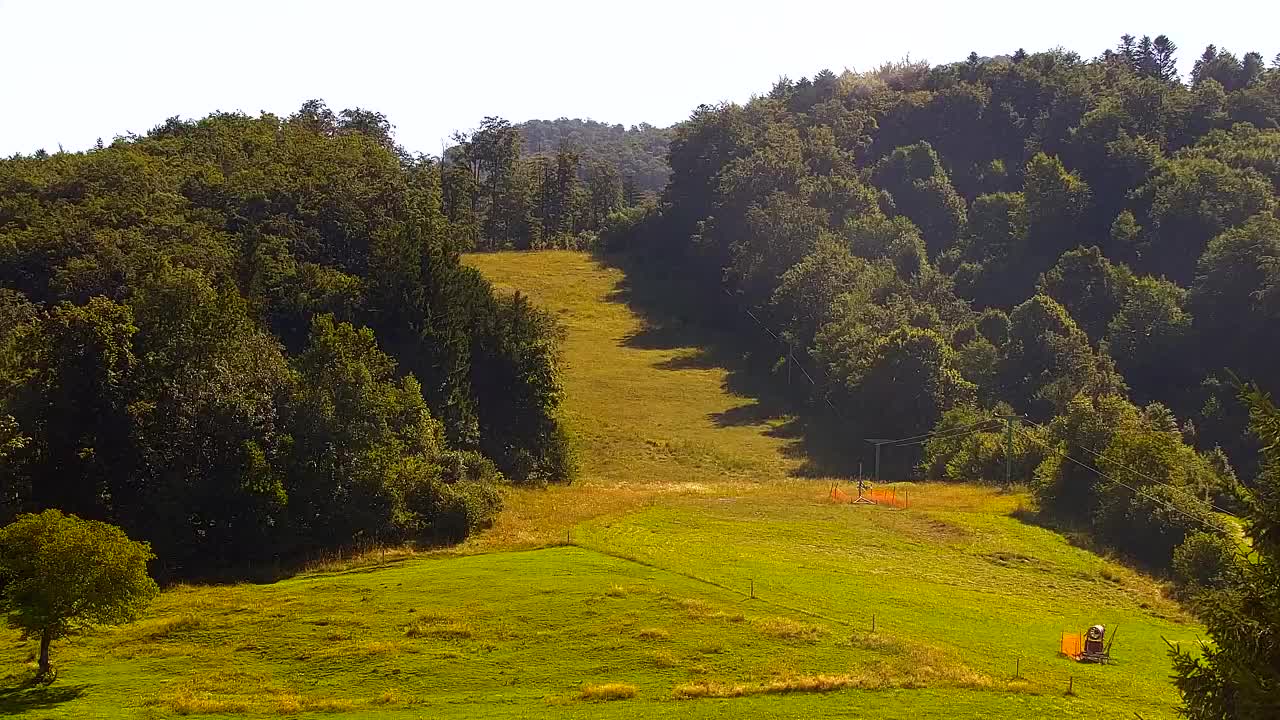 Webcam Lokve – The beauty of the Trnovo forest