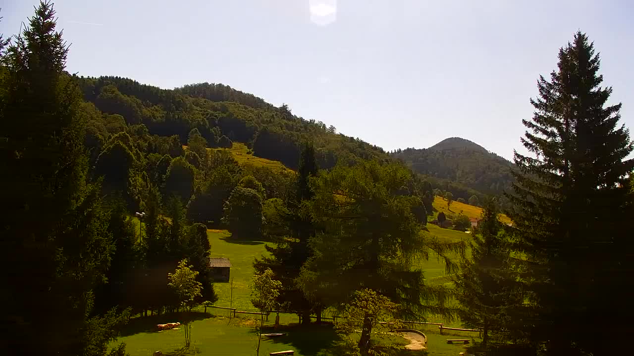 Webcam Lokve – The beauty of the Trnovo forest