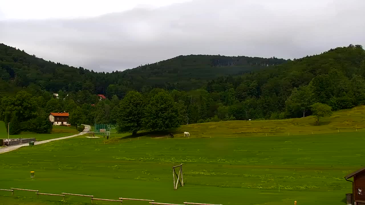 Webcam Lokve – The beauty of the Trnovo forest