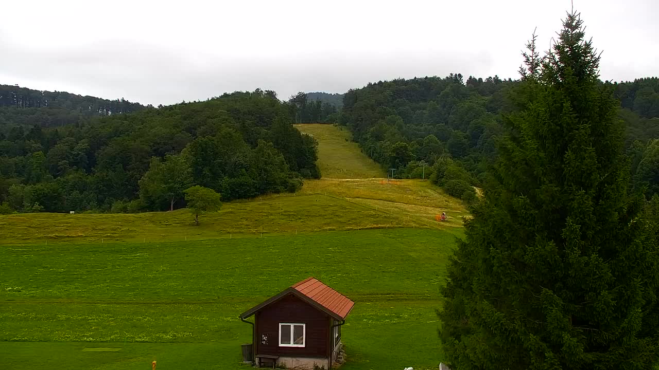 Webcam Loqua / Lokve – La bellezza della selva di Tarnova