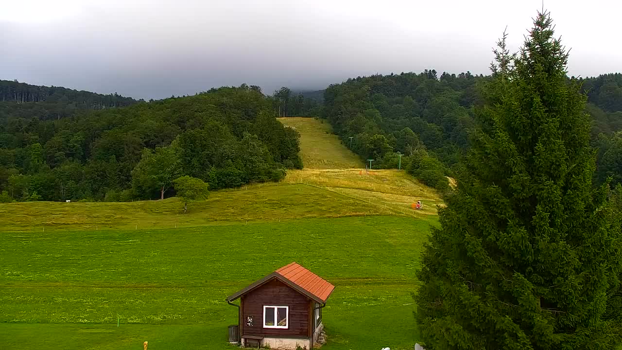 Webcam Loqua / Lokve – La bellezza della selva di Tarnova
