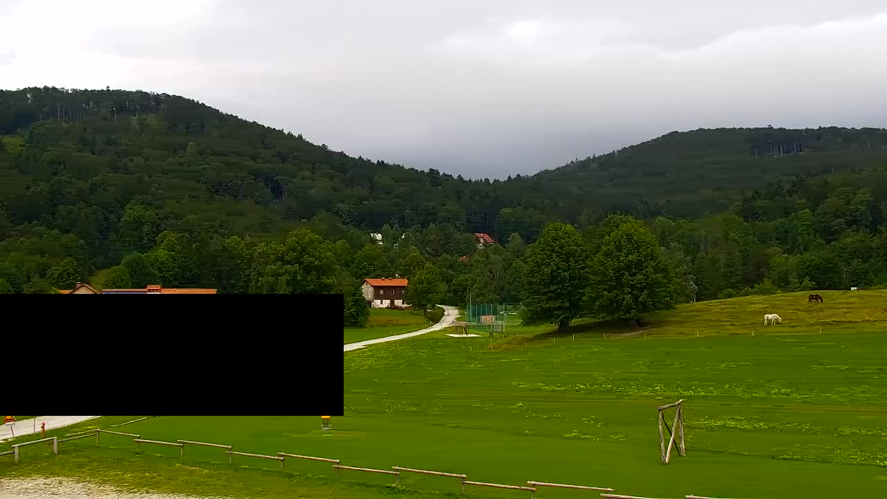 Webcam Lokve – The beauty of the Trnovo forest