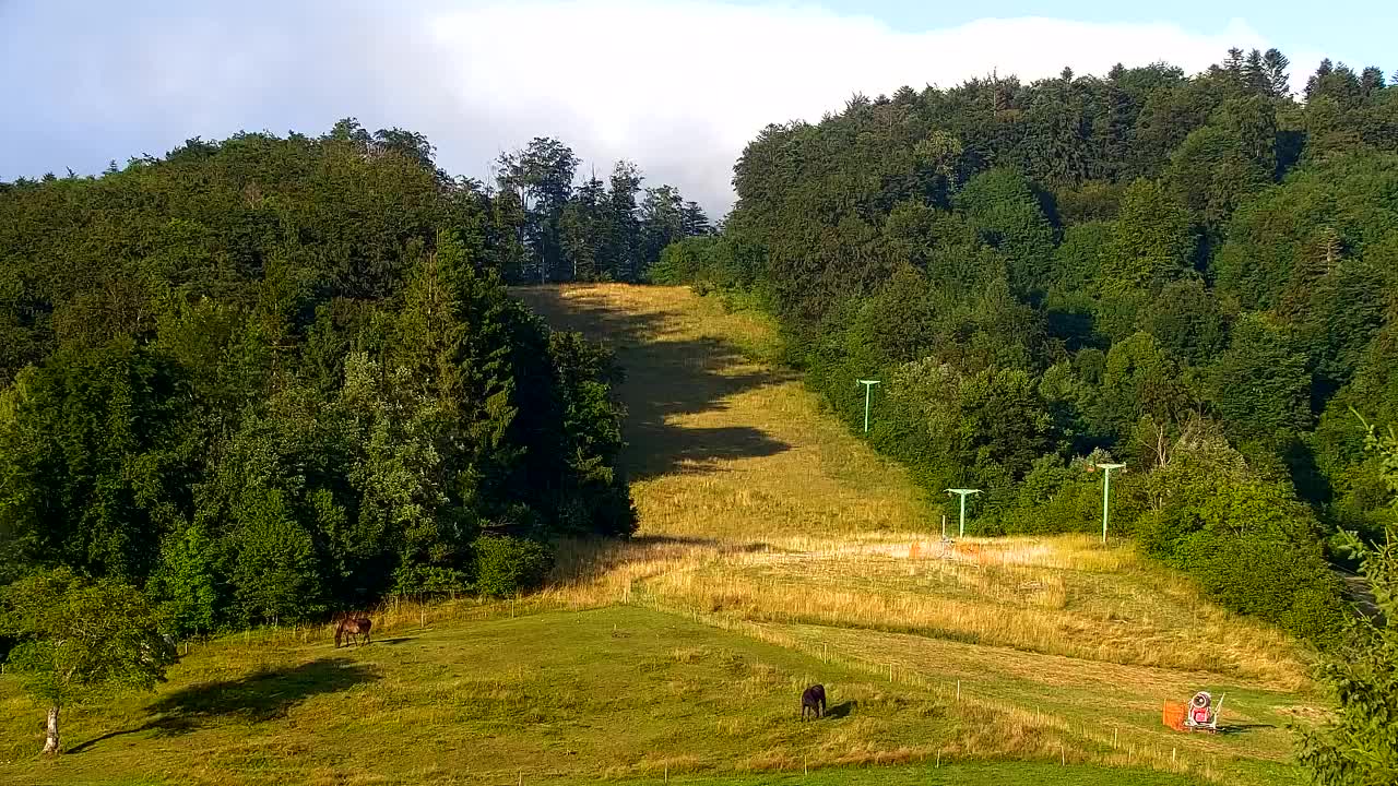 Webcam Lokve – Die Schönheit des Trnovo-Waldes