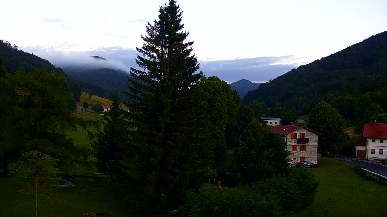 Webcam Lokve – La beauté de la forêt de Trnovo