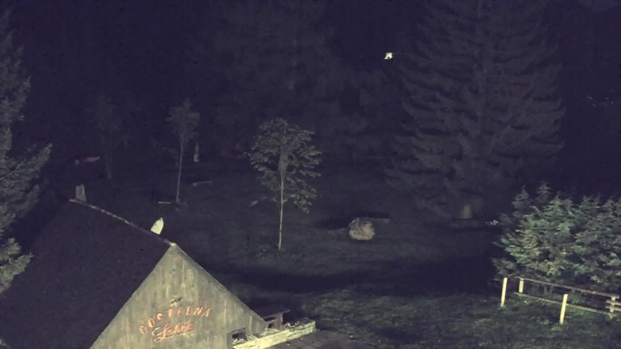 Webcam Lokve – La beauté de la forêt de Trnovo