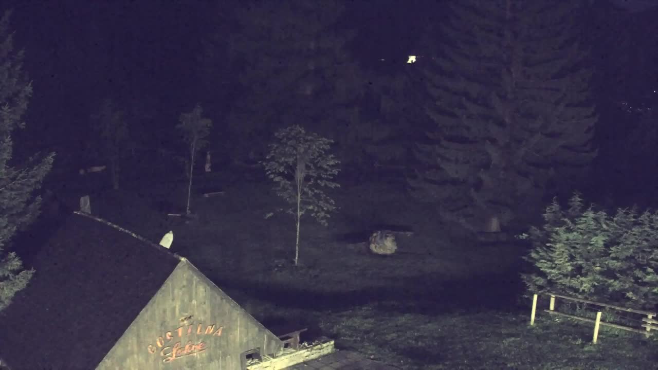 Webcam Lokve – The beauty of the Trnovo forest