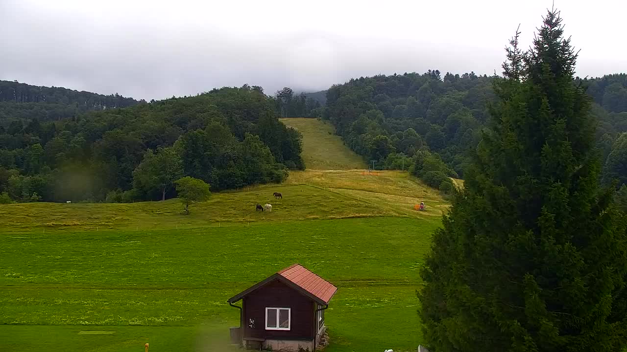 Webcam Lokve – The beauty of the Trnovo forest
