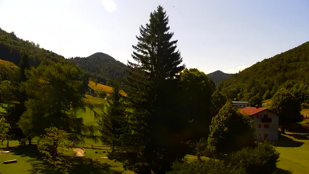 Webcam Loqua / Lokve – La bellezza della selva di Tarnova