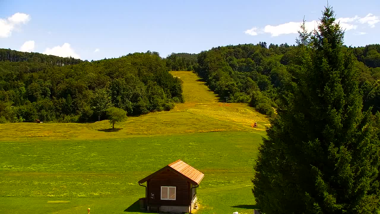 Webcam Lokve – La beauté de la forêt de Trnovo