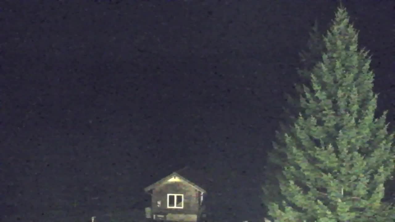 Webcam Lokve – The beauty of the Trnovo forest