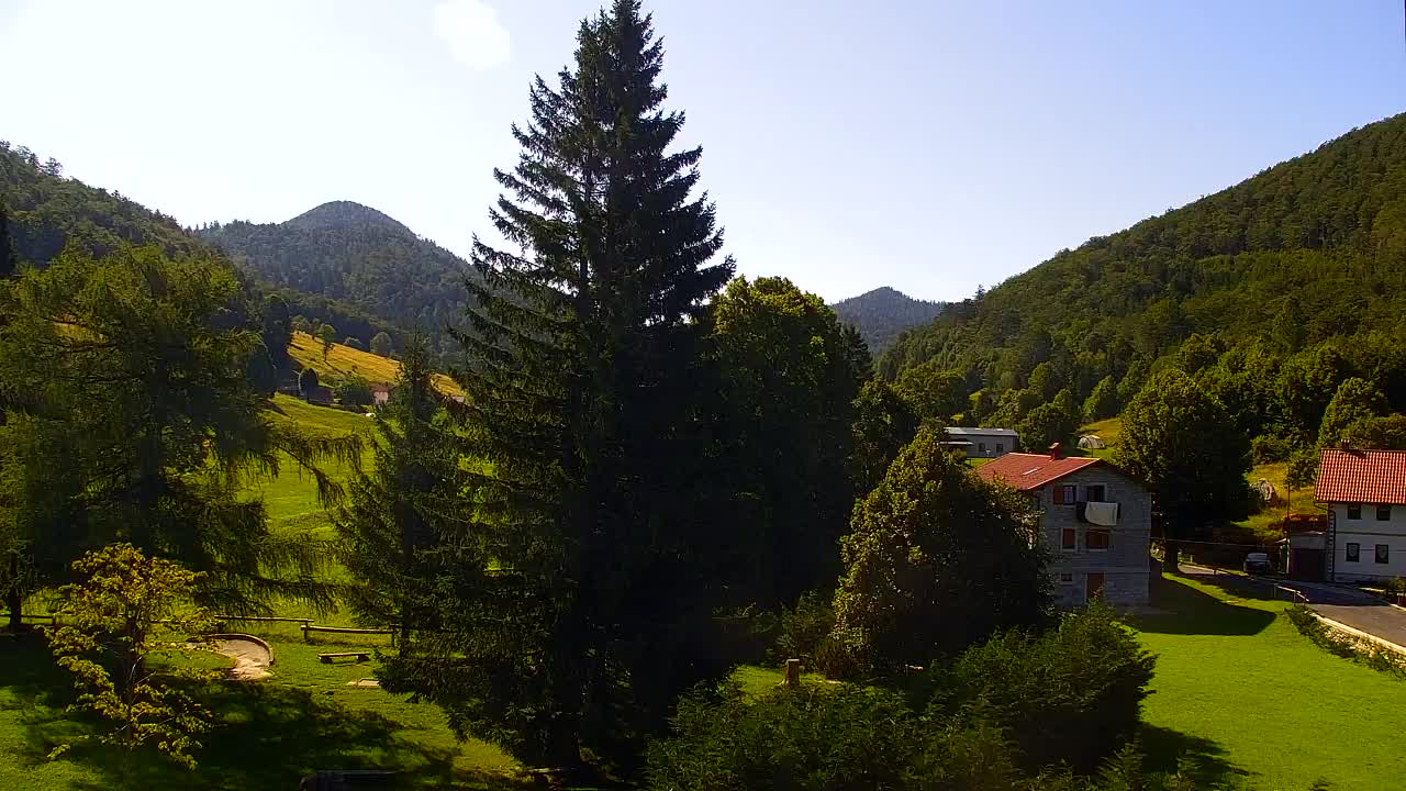 Webcam Lokve – La beauté de la forêt de Trnovo