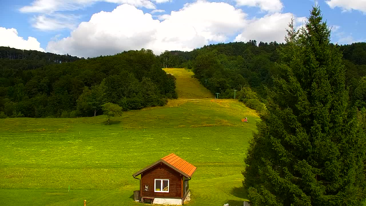Camera en vivo Lokve – La belleza del bosque de Trnovo
