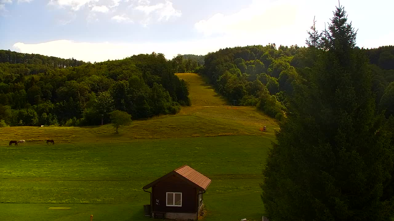 Camera en vivo Lokve – La belleza del bosque de Trnovo