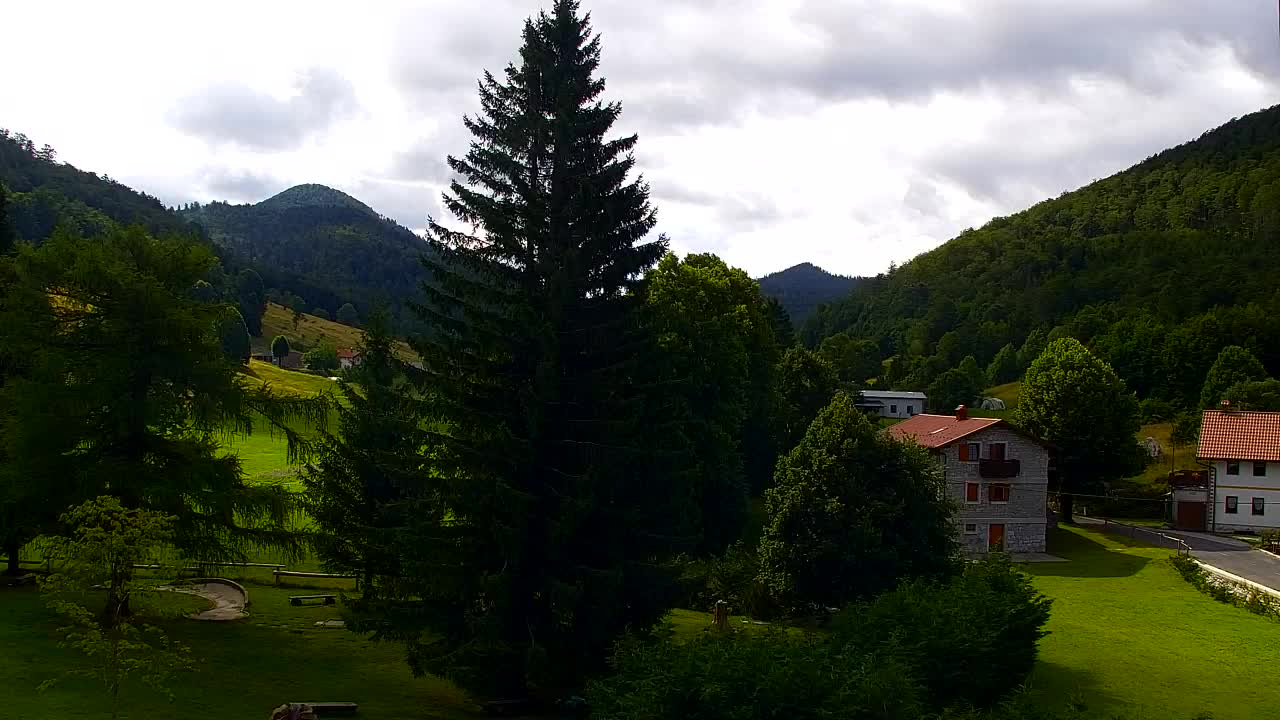 Webcam Loqua / Lokve – La bellezza della selva di Tarnova