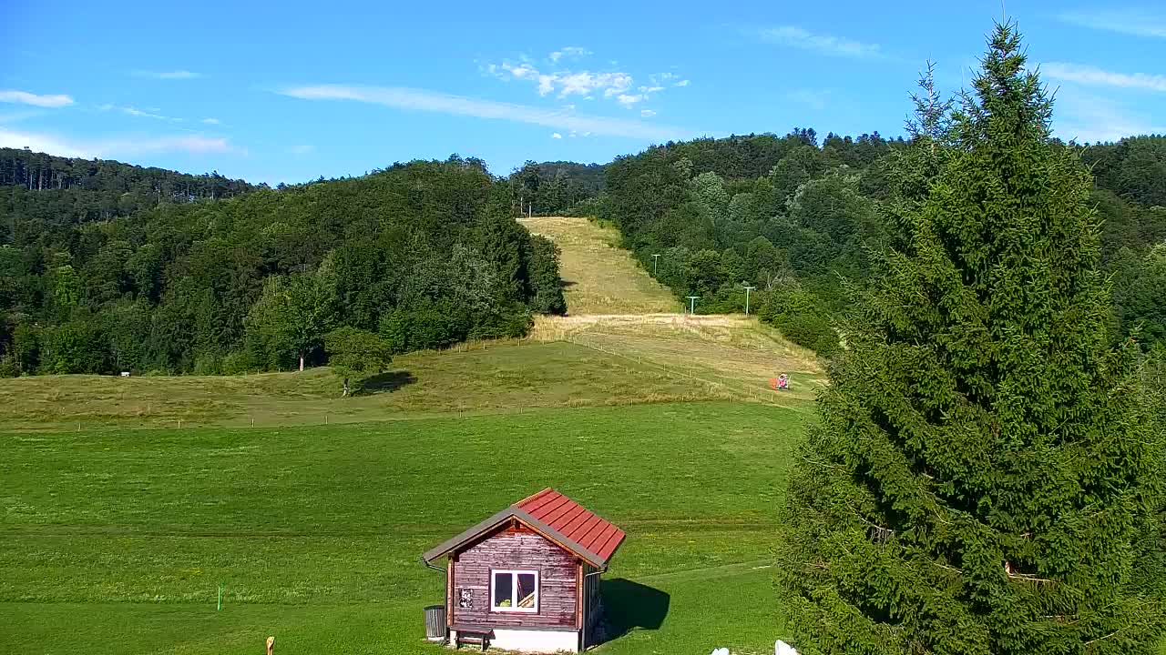 Webcam Loqua / Lokve – La bellezza della selva di Tarnova