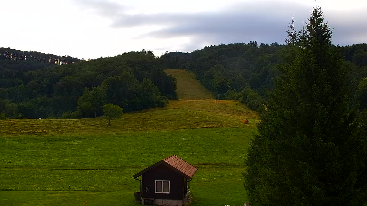 Webcam Loqua / Lokve – La bellezza della selva di Tarnova