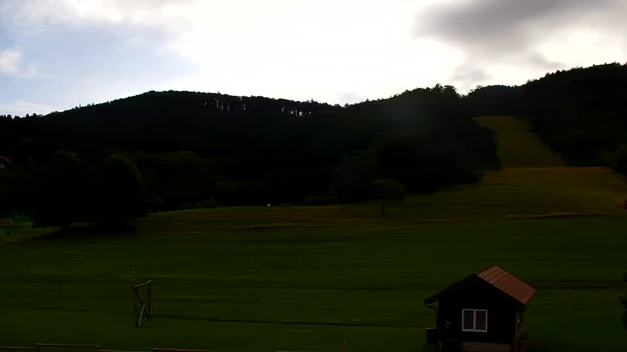 Webcam Loqua / Lokve – La bellezza della selva di Tarnova