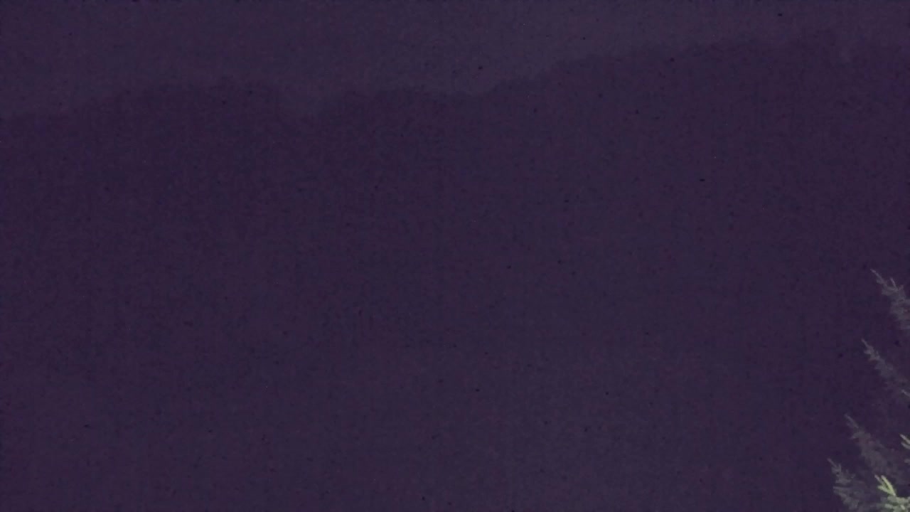 Webcam Lokve – La beauté de la forêt de Trnovo