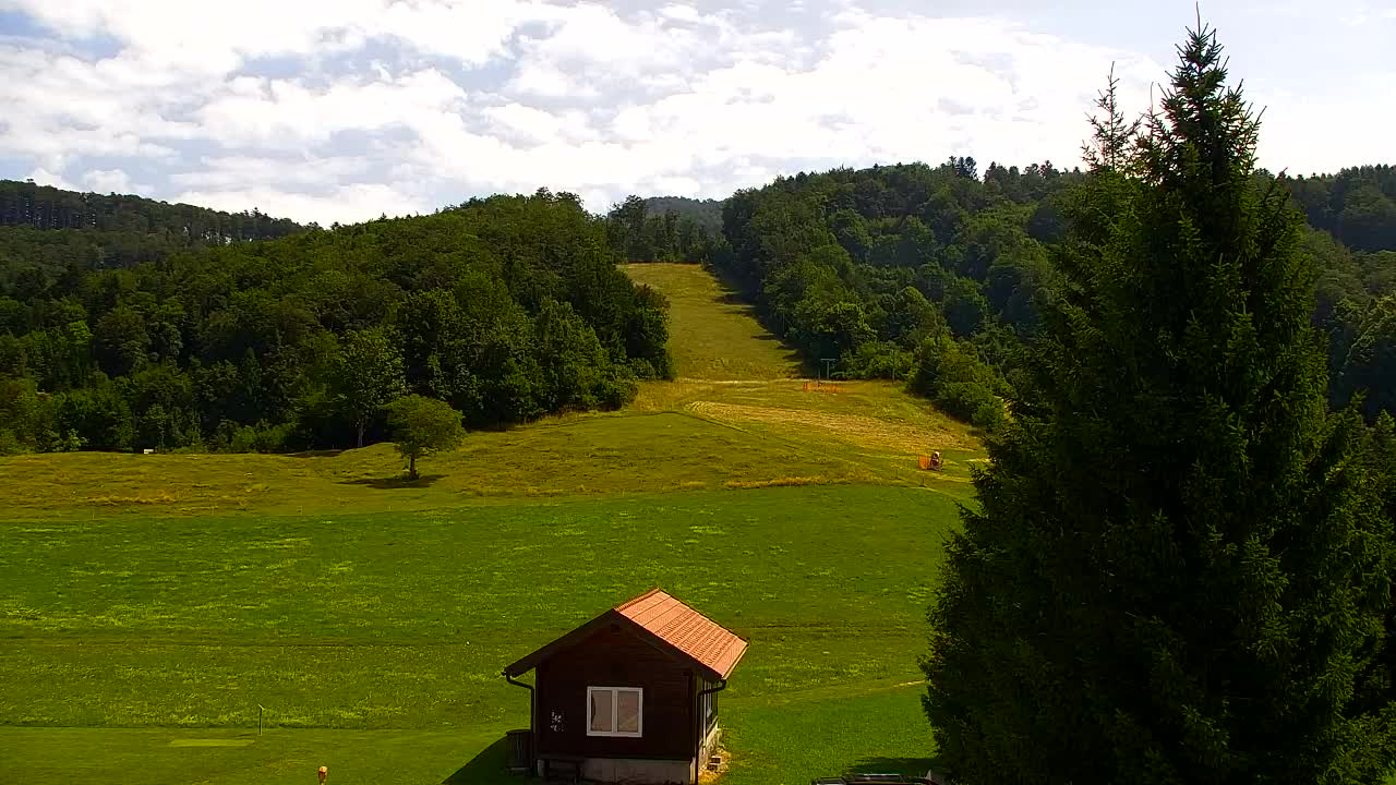 Webcam Lokve – The beauty of the Trnovo forest