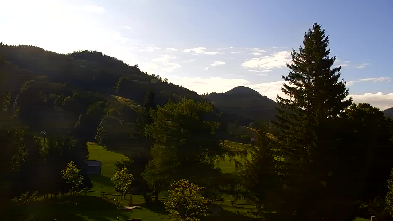 Webcam Loqua / Lokve – La bellezza della selva di Tarnova