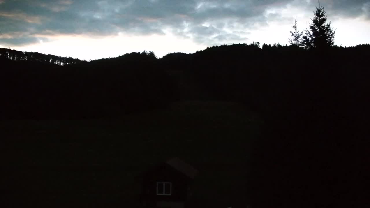 Webcam Lokve – La beauté de la forêt de Trnovo