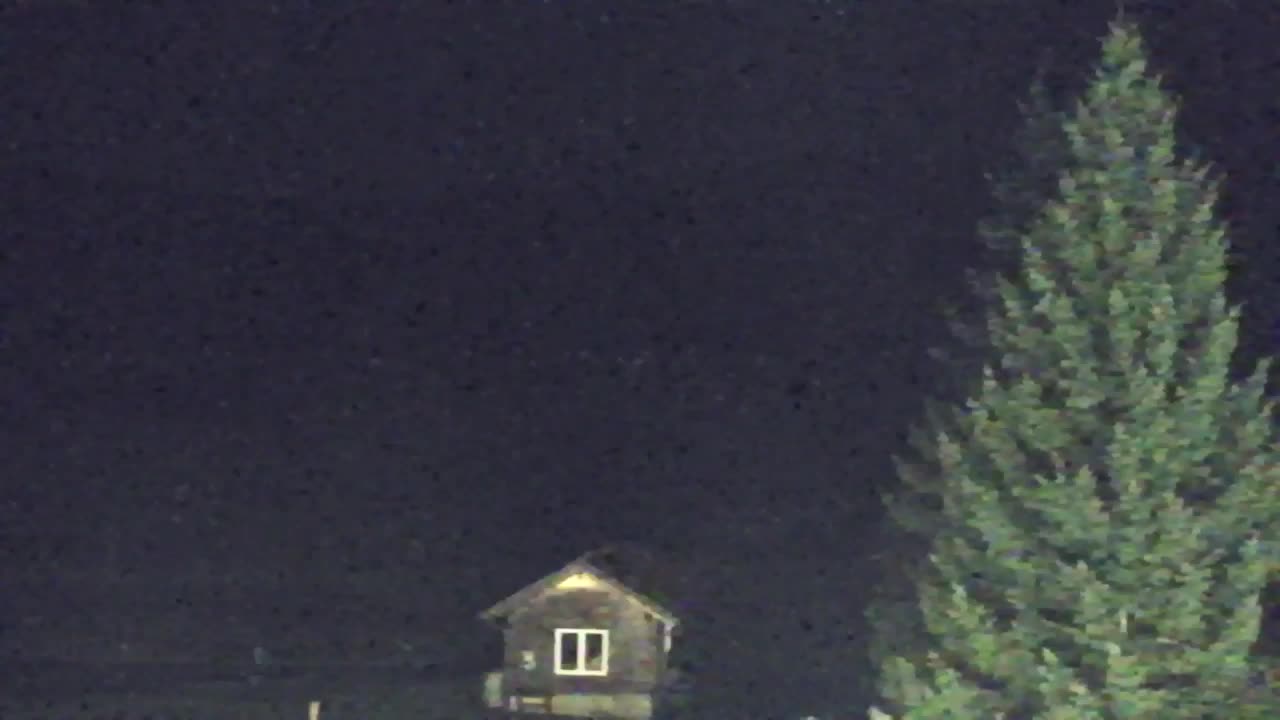 Webcam Lokve – La beauté de la forêt de Trnovo