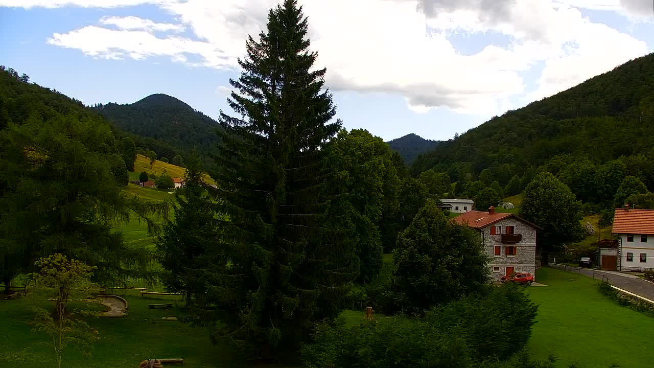 Camera en vivo Lokve – La belleza del bosque de Trnovo