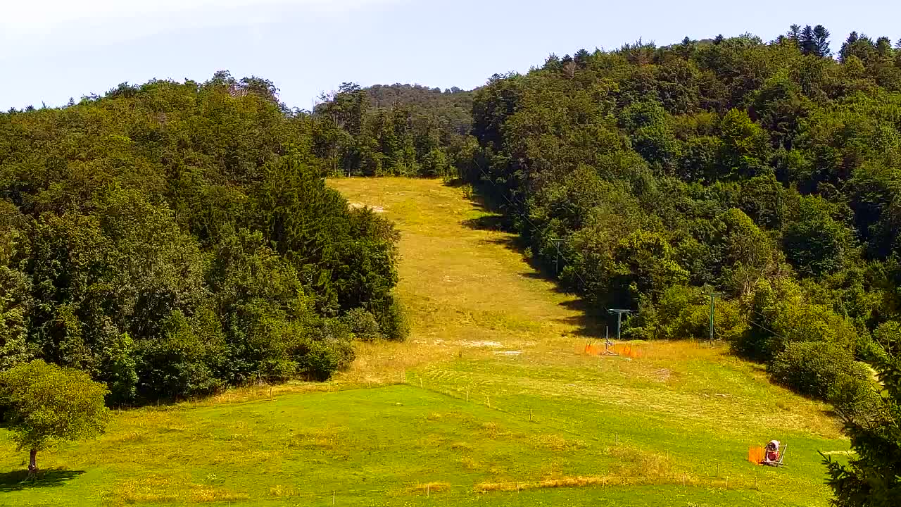 Webcam Lokve – The beauty of the Trnovo forest
