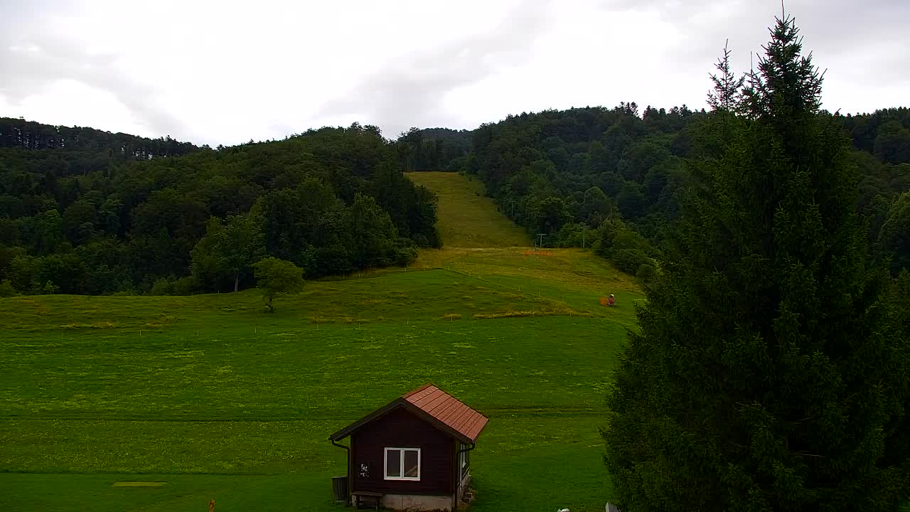 Webcam Lokve – The beauty of the Trnovo forest