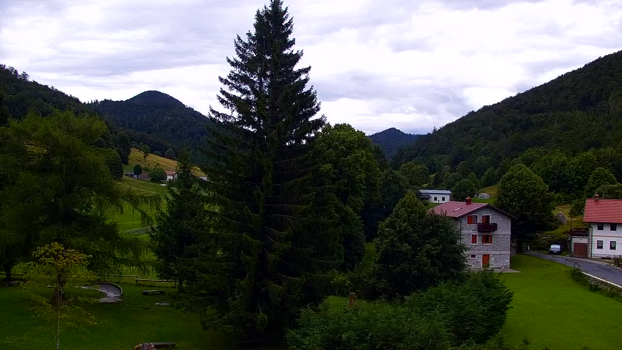 Webcam Lokve – The beauty of the Trnovo forest
