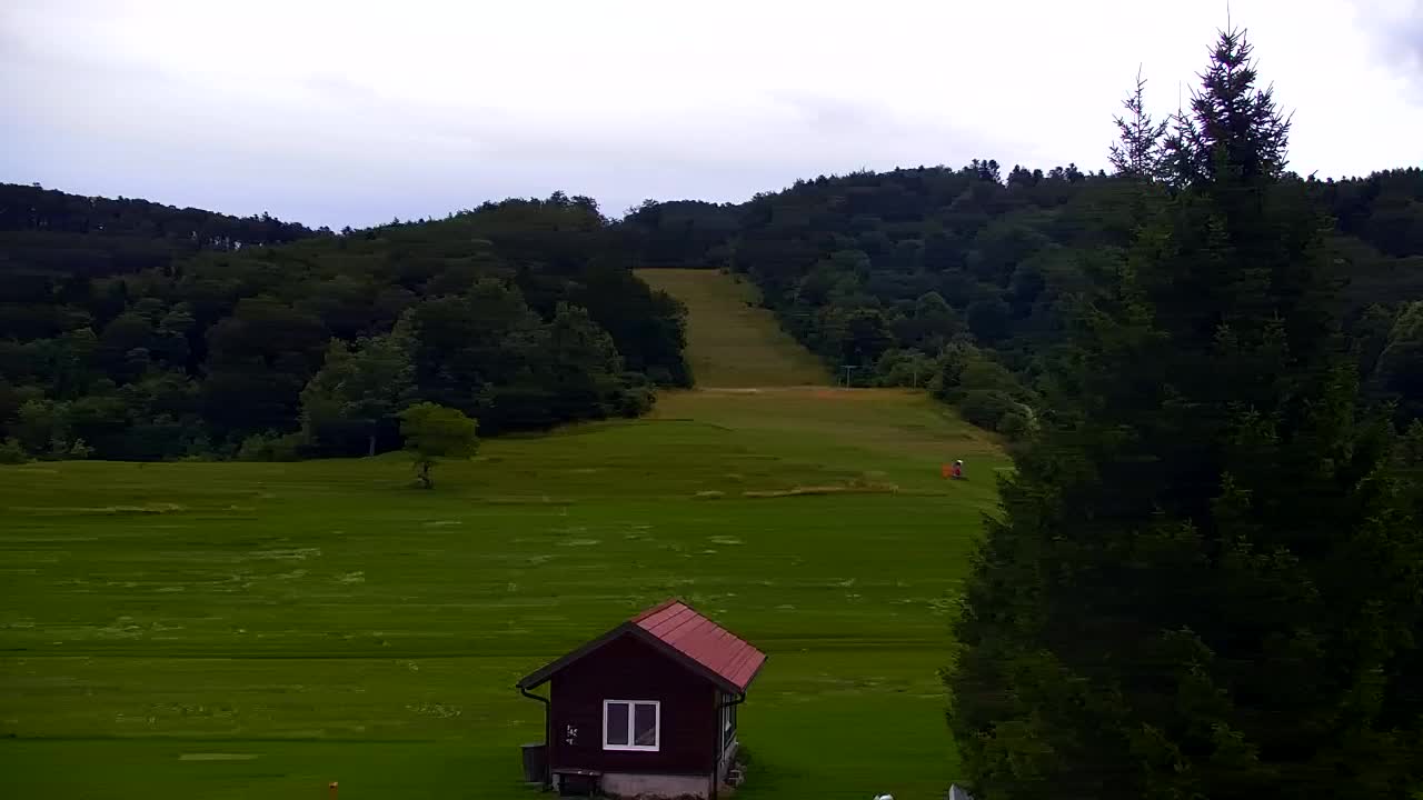 Webcam Lokve – The beauty of the Trnovo forest