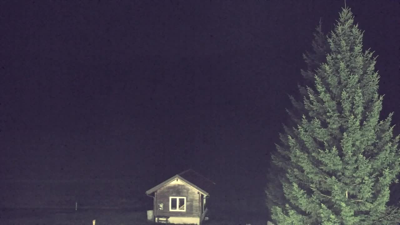 Webcam Lokve – The beauty of the Trnovo forest