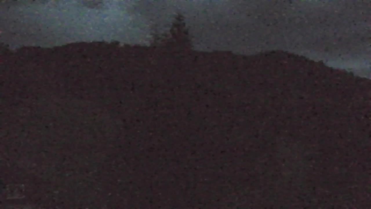 Webcam Lokve – The beauty of the Trnovo forest
