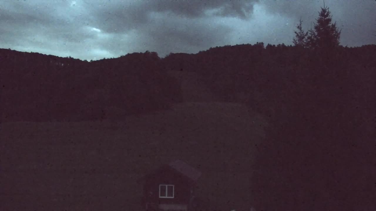 Webcam Lokve – The beauty of the Trnovo forest