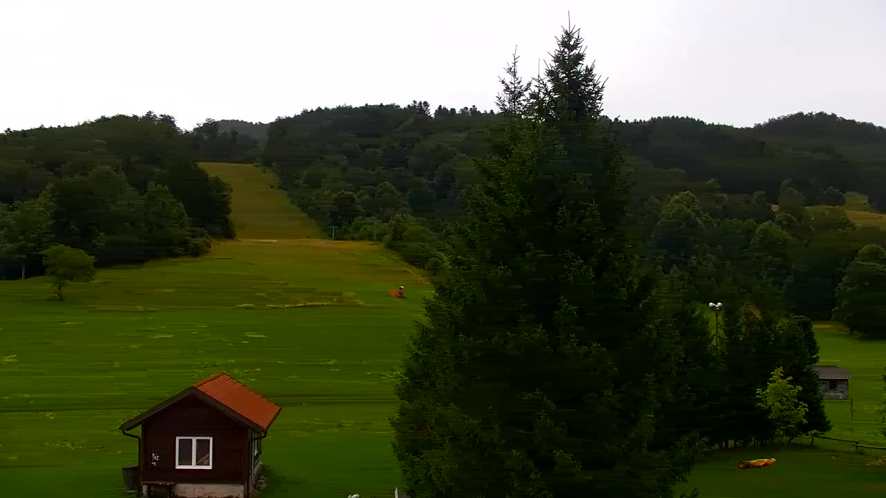 Webcam Lokve – The beauty of the Trnovo forest