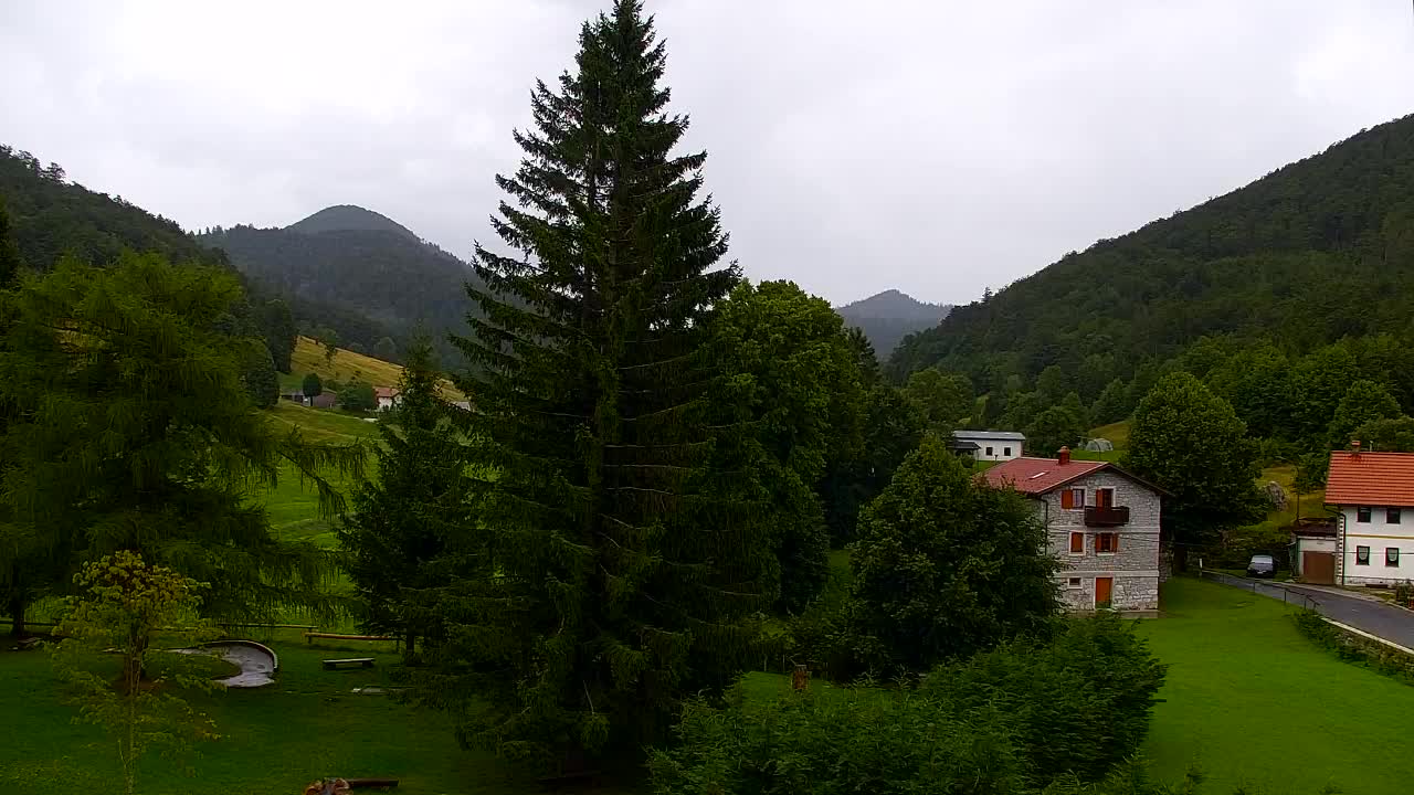 Webcam Lokve – The beauty of the Trnovo forest