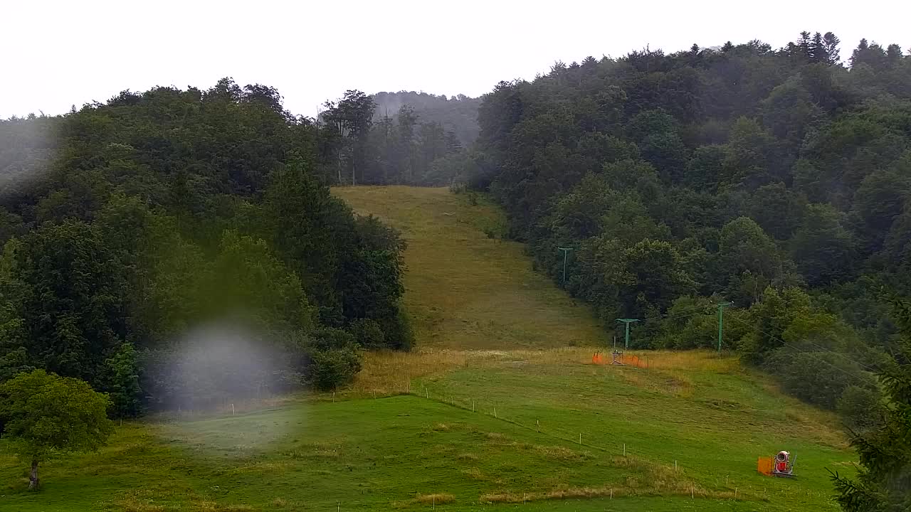 Webcam Lokve – The beauty of the Trnovo forest