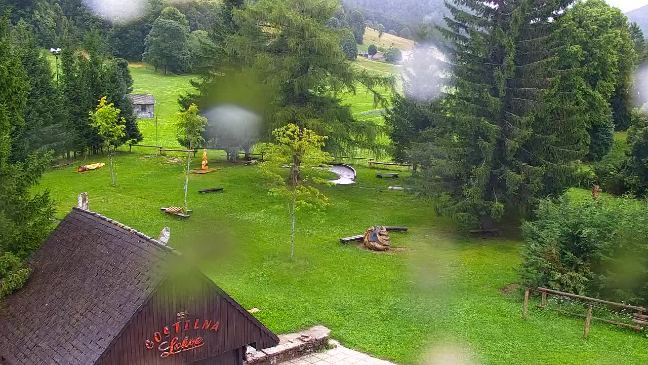 Webcam Lokve – The beauty of the Trnovo forest