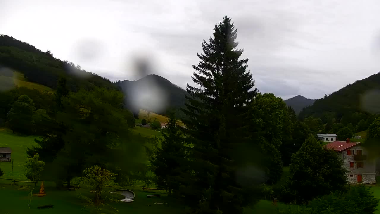 Webcam Lokve – The beauty of the Trnovo forest