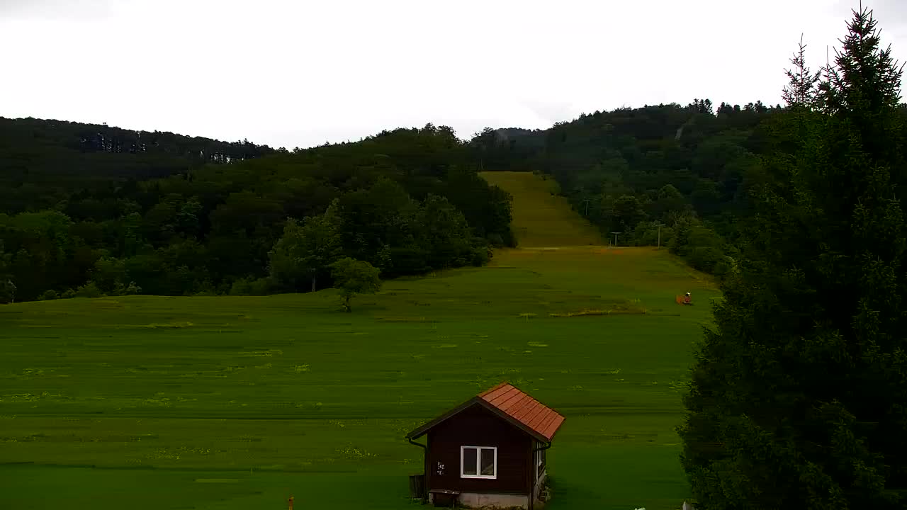 Webcam Lokve – The beauty of the Trnovo forest