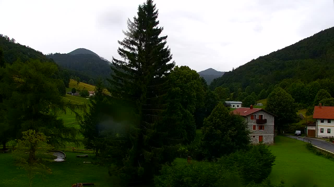 Webcam Lokve – The beauty of the Trnovo forest