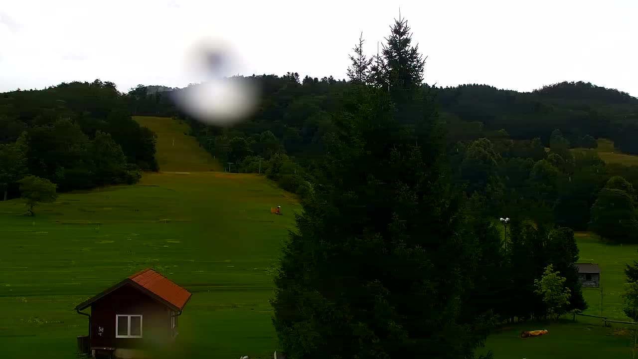 Webcam Lokve – The beauty of the Trnovo forest