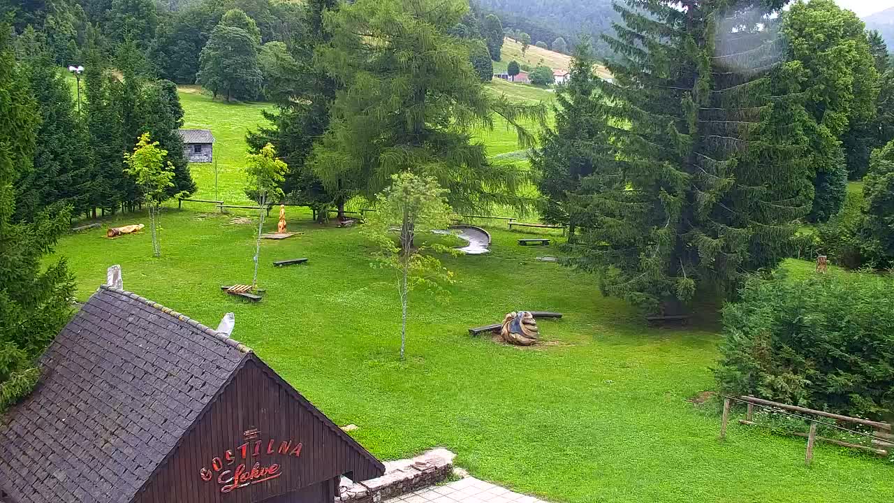 Webcam Lokve – The beauty of the Trnovo forest