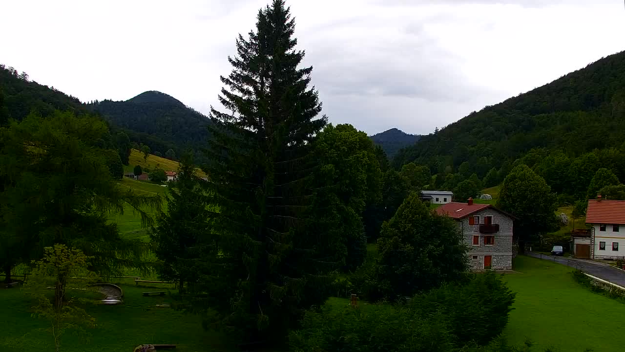 Webcam Lokve – The beauty of the Trnovo forest