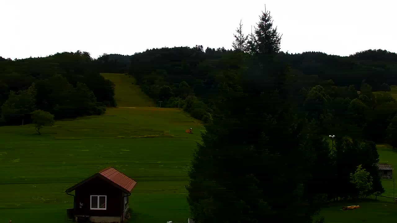Webcam Loqua / Lokve – La bellezza della selva di Tarnova