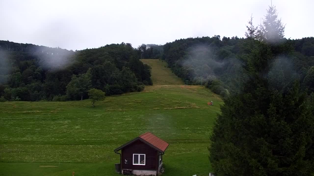 Webcam Loqua / Lokve – La bellezza della selva di Tarnova