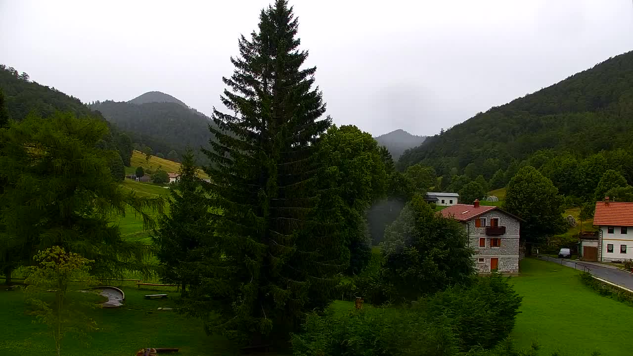 Webcam Loqua / Lokve – La bellezza della selva di Tarnova